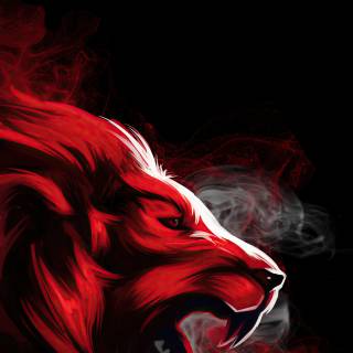 Tiger iPhone 4k wallpaper