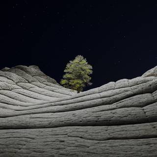 iPhone 12 Pro Max aesthetic wallpaper