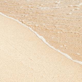 Beige colour wallpaper