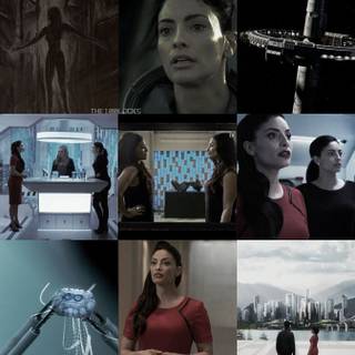 A.L.I.E The 100 wallpaper