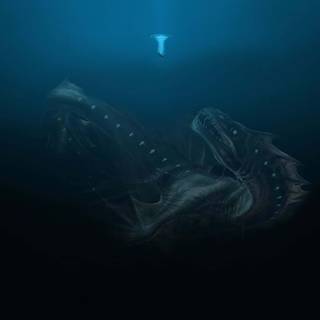 Scary water wallpaper