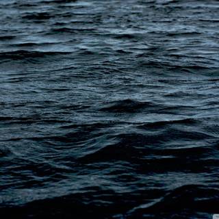 Scary water wallpaper