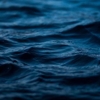Scary water wallpaper