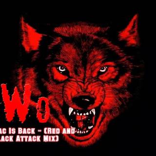 NWo Wolfpac wallpaper