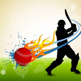 Cricket bowler wallpaper