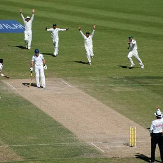 Cricket bowler wallpaper