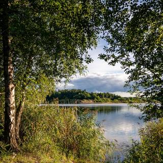 Lakes with trees wallpaper