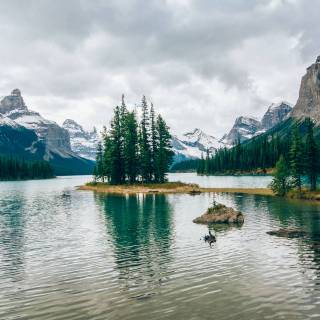 Lakes with trees wallpaper