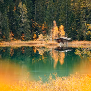 Lakes with trees wallpaper