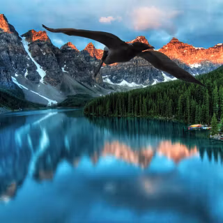 Lakes with trees wallpaper