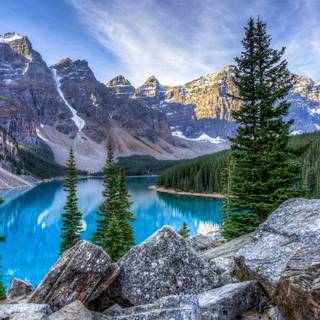 Lakes with trees wallpaper