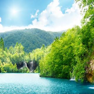 Lakes with trees wallpaper