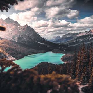 Lakes with trees wallpaper