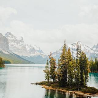 Lakes with trees wallpaper