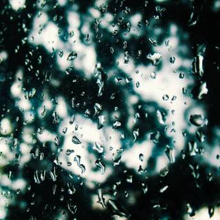 Rain blur wallpaper