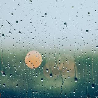 Rain blur wallpaper