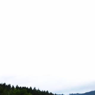 F1 mobile 4k wallpaper