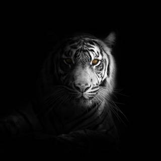 Dark 4k portrait wallpaper