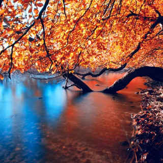 Water autumn wallpaper