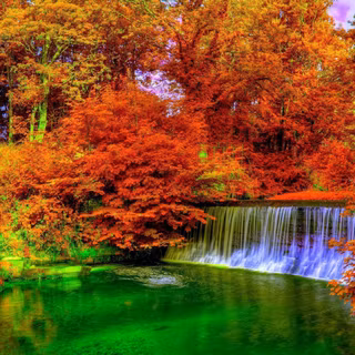 Water autumn wallpaper