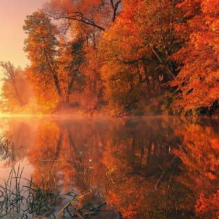 Autumn iPhone 4k wallpaper