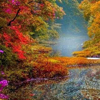 Water autumn wallpaper