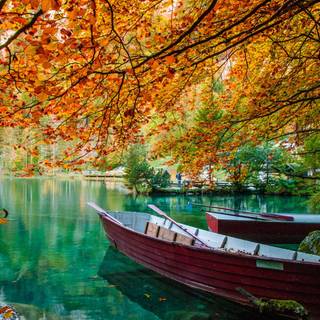 Water autumn wallpaper