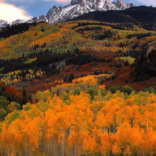 Autumn mountain 2560x1600 wallpaper