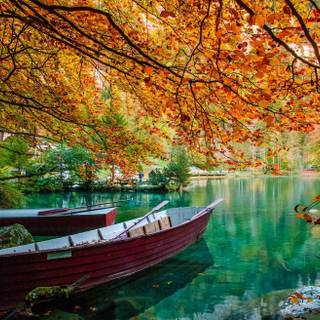 Water autumn wallpaper