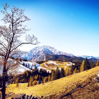 Autumn mountain 2560x1600 wallpaper