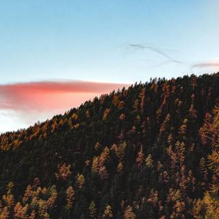 Autumn mountain 2560x1600 wallpaper