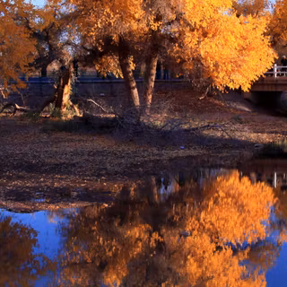 Water autumn wallpaper