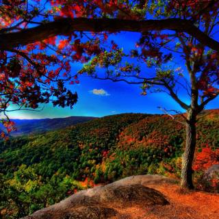 Autumn mountain 2560x1600 wallpaper