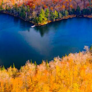 Autumn iPhone 4k wallpaper