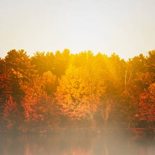 Water autumn wallpaper