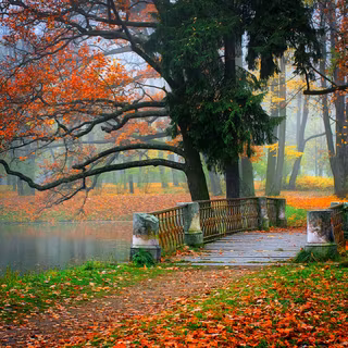 Water autumn wallpaper