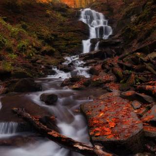 Water autumn wallpaper