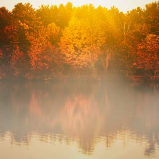 Water autumn wallpaper