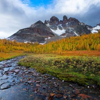 Autumn mountain 2560x1600 wallpaper