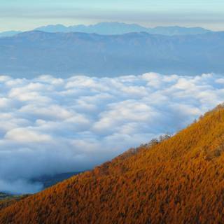 Autumn mountain 2560x1600 wallpaper