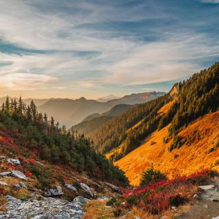 Autumn mountain 2560x1600 wallpaper