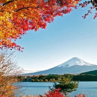 Autumn mountain 2560x1600 wallpaper