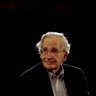 Noam Chomsky wallpaper