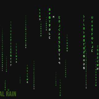 Matrix digital rain desktop wallpaper