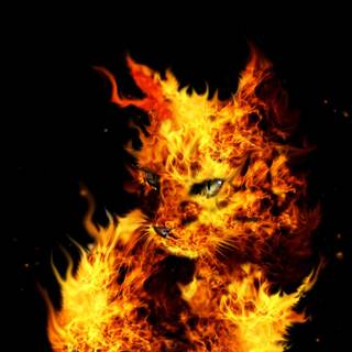 Flames desktop wallpaper