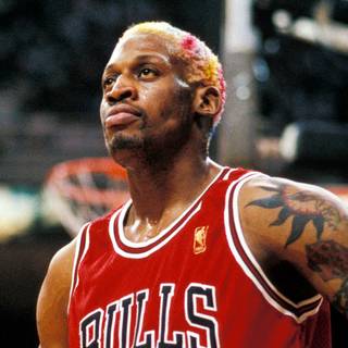 Dennis Rodman computer wallpaper