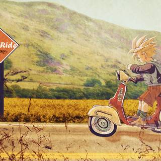 DBZ vintage PC wallpaper