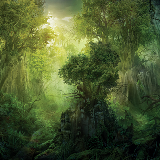 Magic nature wallpaper