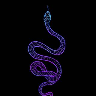 iPhone cool snake wallpaper