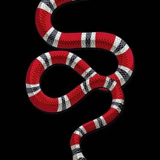 iPhone cool snake wallpaper